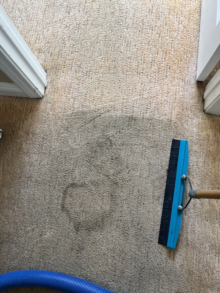 A carpet brush beside a spot in a hallway