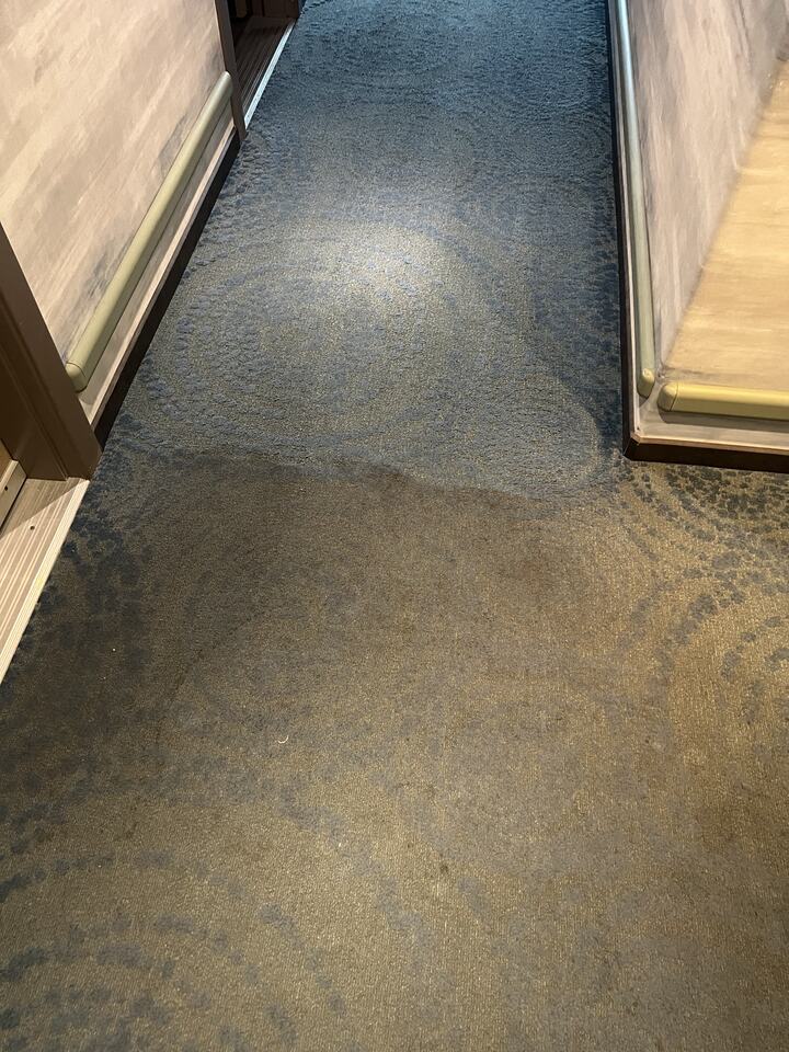 Cleaning progress across a patterned commercial hallway carpet